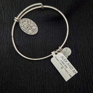 Alex and Ani Silver Bangle Bracelet